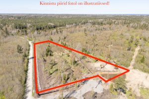 Vatsla tee 74 joonistatud piiridega